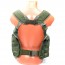Разгрузочная система (TASMANIAN TIGER) Chest Rig (Olive)
